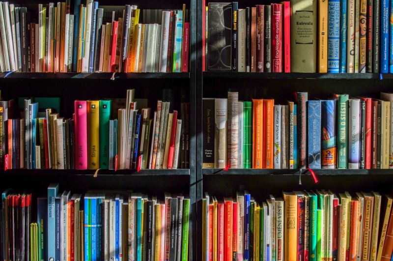 vente-HYERES-min_books_bookstore_book_reading_shop_writer_sale_books_read-822866